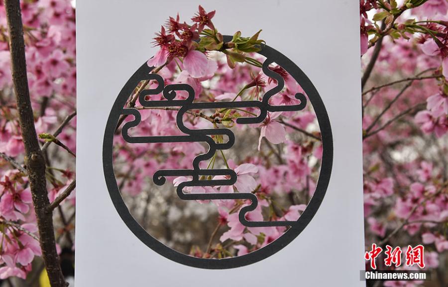 A4 paper adds traditional charm to landscape(1/10)